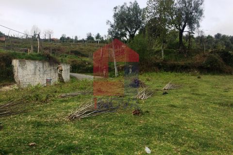Helårsgrund i Vila Verde, Braga, Vila Verde - € 17.000 | Ref: 06273 - foto 4