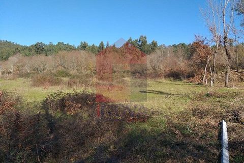 Helårsgrund i Vila Verde, Braga, Vila Verde - € 30.000 | Ref: 06253 - foto 2