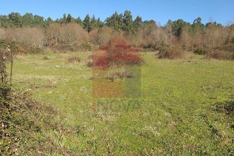 Helårsgrund i Vila Verde, Braga, Vila Verde - € 30.000 | Ref: 06253 - foto 3