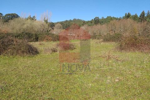 Helårsgrund i Vila Verde, Braga, Vila Verde - € 30.000 | Ref: 06253 - foto 4