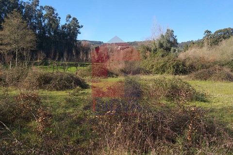 Helårsgrund i Vila Verde, Braga, Vila Verde - € 30.000 | Ref: 06253 - foto 6