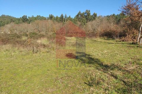 Helårsgrund i Vila Verde, Braga, Vila Verde - € 30.000 | Ref: 06253 - foto 7