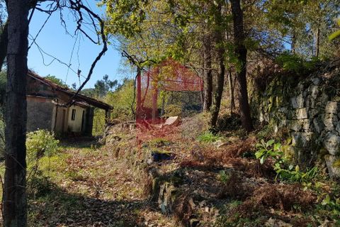 Byhus i Vila Verde, Braga, Vila Verde - € 70.000 | Ref: 06346 - foto 4
