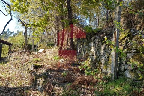 Byhus i Vila Verde, Braga, Vila Verde - € 70.000 | Ref: 06346 - foto 6