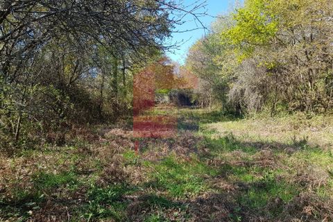 Byhus i Vila Verde, Braga, Vila Verde - € 70.000 | Ref: 06346 - foto 7