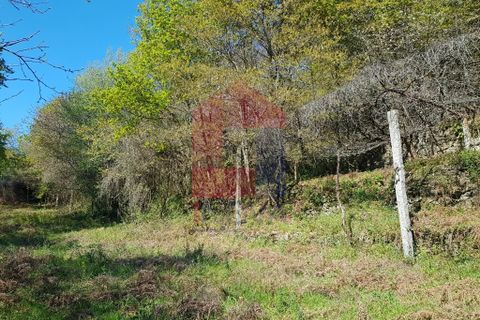 Byhus i Vila Verde, Braga, Vila Verde - € 70.000 | Ref: 06346 - foto 8