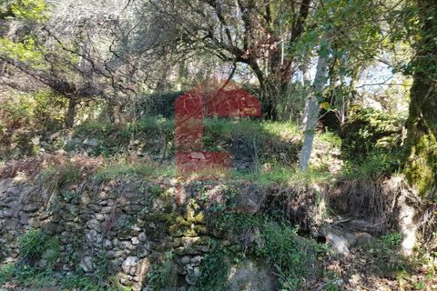 Byhus i Vila Verde, Braga, Vila Verde - € 70.000 | Ref: 06346 - foto 9