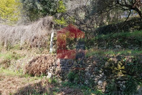 Byhus i Vila Verde, Braga, Vila Verde - € 70.000 | Ref: 06346 - foto 10