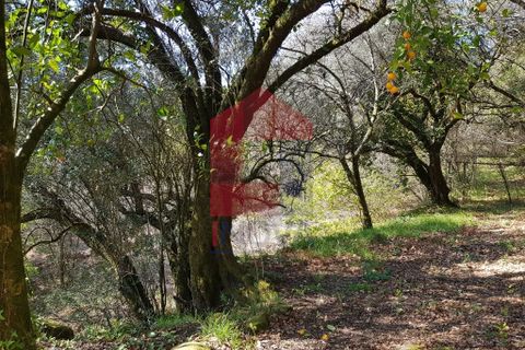 Byhus i Vila Verde, Braga, Vila Verde - € 70.000 | Ref: 06346 - foto 13
