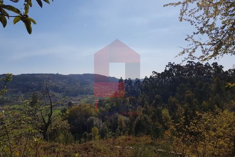 Byhus i Vila Verde, Braga, Vila Verde - € 70.000 | Ref: 06346 - foto 14