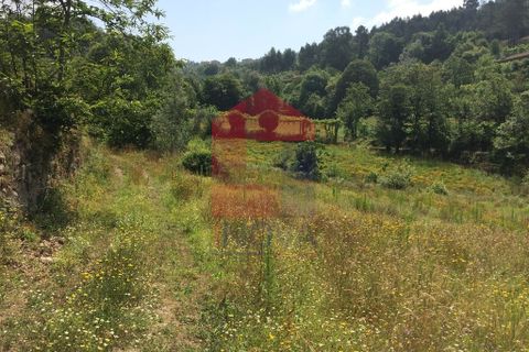 Helårsgrund i Vila Verde, Braga, Vila Verde - € 36.000 | Ref: 06002 - foto 2