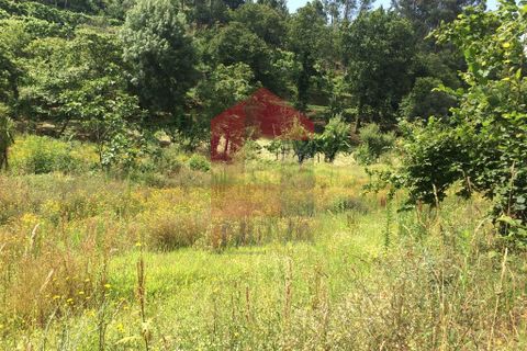 Helårsgrund i Vila Verde, Braga, Vila Verde - € 36.000 | Ref: 06002 - foto 5