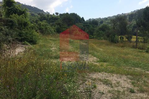 Helårsgrund i Vila Verde, Braga, Vila Verde - € 36.000 | Ref: 06002 - foto 6