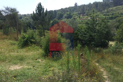 Helårsgrund i Vila Verde, Braga, Vila Verde - € 36.000 | Ref: 06002 - foto 7