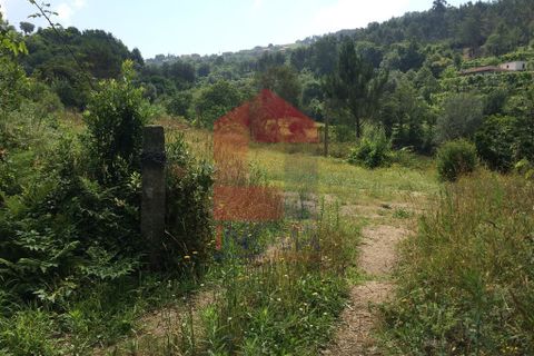 Helårsgrund i Vila Verde, Braga, Vila Verde - € 36.000 | Ref: 06002 - foto 9