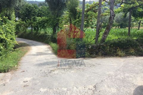 Helårsgrund i Vila Verde, Braga, Vila Verde - € 36.000 | Ref: 06002 - foto 12