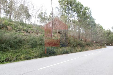 Helårsgrund i Vila Verde, Braga, Vila Verde - € 36.000 | Ref: 06688 - foto 2