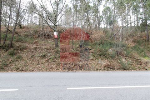 Helårsgrund i Vila Verde, Braga, Vila Verde - € 36.000 | Ref: 06688 - foto 3
