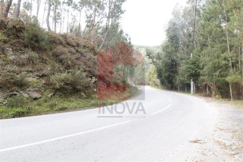 Helårsgrund i Vila Verde, Braga, Vila Verde - € 36.000 | Ref: 06688 - foto 4