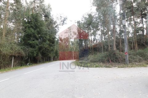 Helårsgrund i Vila Verde, Braga, Vila Verde - € 36.000 | Ref: 06688 - foto 7