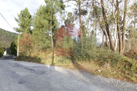 Helårsgrund i Vila Verde, Braga, Vila Verde - € 36.000 | Ref: 06688 - foto 10