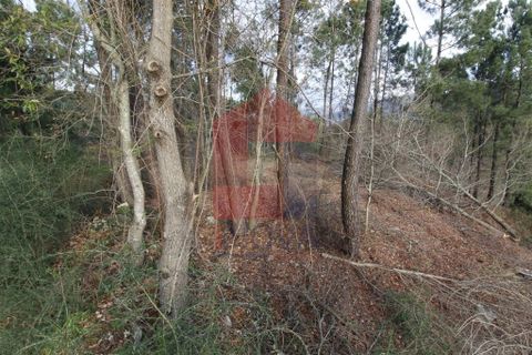 Helårsgrund i Vila Verde, Braga, Vila Verde - € 36.000 | Ref: 06688 - foto 11