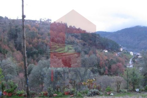 Farm i Vila Verde, Braga, Vila Verde - € 75.000 | Ref: 02974 - foto 5