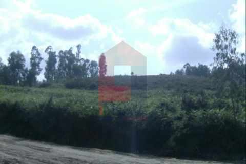 Helårsgrund i Vila Verde, Braga, Vila Verde - € 45.000 | Ref: 03134 - foto 2