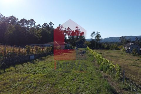 Helårsgrund i Amares, Braga, Amares - € 54.000 | Ref: 06744 - foto 29