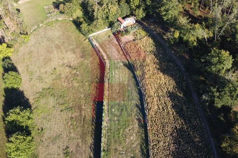 Helårsgrund i Amares, Braga, Amares - € 54.000 | Ref: 06744 - foto 30