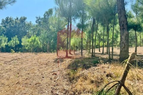 Helårsgrund i Vila Verde, Braga, Vila Verde - € 31.500 | Ref: 05619 - foto 2