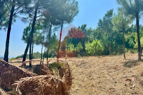 Helårsgrund i Vila Verde, Braga, Vila Verde - € 31.500 | Ref: 05619 - foto 3