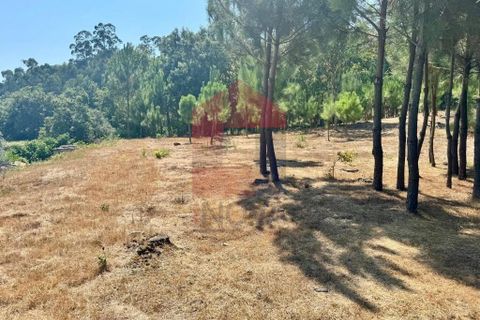 Helårsgrund i Vila Verde, Braga, Vila Verde - € 31.500 | Ref: 05619 - foto 4