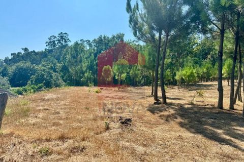Helårsgrund i Vila Verde, Braga, Vila Verde - € 31.500 | Ref: 05619 - foto 5