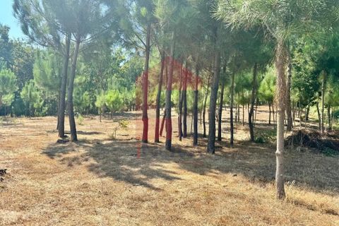 Helårsgrund i Vila Verde, Braga, Vila Verde - € 31.500 | Ref: 05619 - foto 6