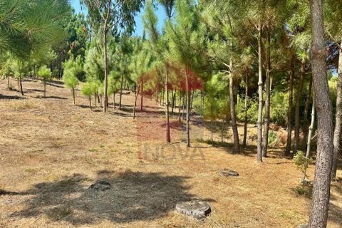 Helårsgrund i Vila Verde, Braga, Vila Verde - € 31.500 | Ref: 05619 - foto 7