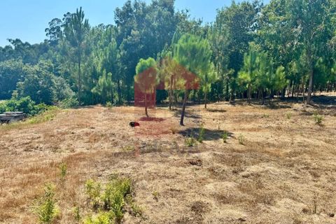 Helårsgrund i Vila Verde, Braga, Vila Verde - € 31.500 | Ref: 05619 - foto 11