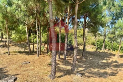Helårsgrund i Vila Verde, Braga, Vila Verde - € 31.500 | Ref: 05619 - foto 15