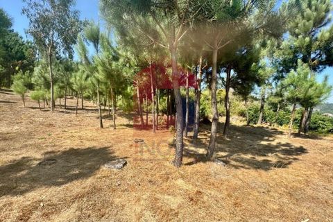 Helårsgrund i Vila Verde, Braga, Vila Verde - € 31.500 | Ref: 05619 - foto 17