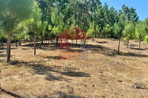 Helårsgrund i Vila Verde, Braga, Vila Verde - € 31.500 | Ref: 05619 - foto 19