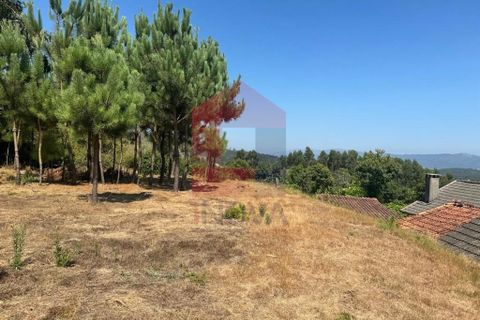 Helårsgrund i Vila Verde, Braga, Vila Verde - € 31.500 | Ref: 05619 - foto 23