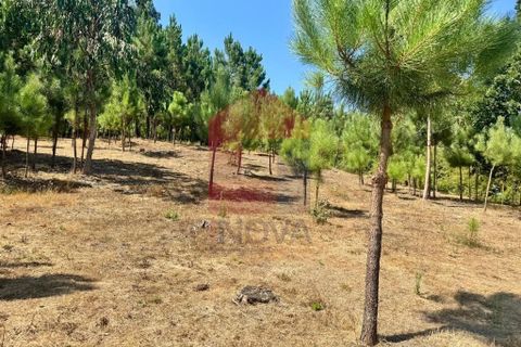 Helårsgrund i Vila Verde, Braga, Vila Verde - € 31.500 | Ref: 05619 - foto 25
