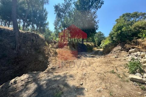 Helårsgrund i Vila Verde, Braga, Vila Verde - € 31.500 | Ref: 05619 - foto 28
