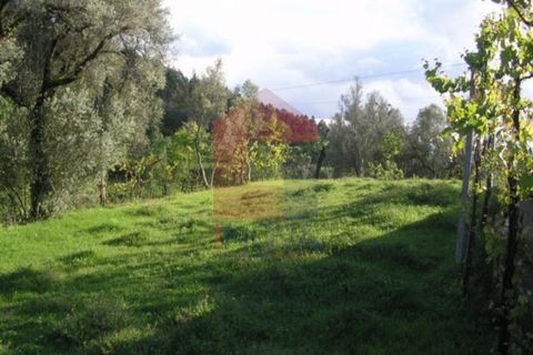 Helårsgrund i Vila Verde, Braga, Vila Verde - € 25.000 | Ref: 04284 - foto 3