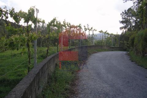 Helårsgrund i Vila Verde, Braga, Vila Verde - € 25.000 | Ref: 04284 - foto 4