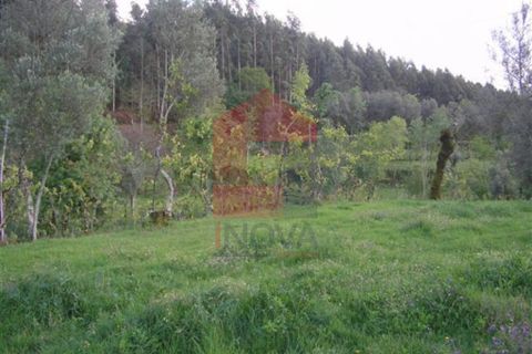 Helårsgrund i Vila Verde, Braga, Vila Verde - € 25.000 | Ref: 04284 - foto 5