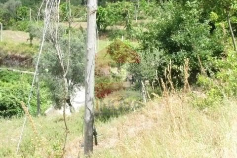 Helårsgrund i Vila Verde, Braga, Vila Verde - € 13.000 | Ref: 04199 - foto 2