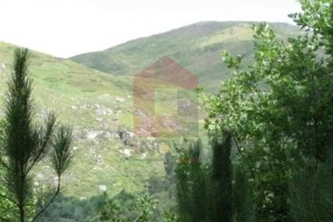 Helårsgrund i Vila Verde, Braga, Vila Verde - € 13.000 | Ref: 04199 - foto 4