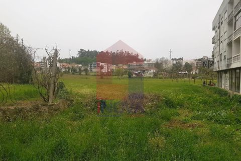 Helårsgrund i Vila Verde, Braga, Vila Verde - € 600.000 | Ref: 07219 - foto 4