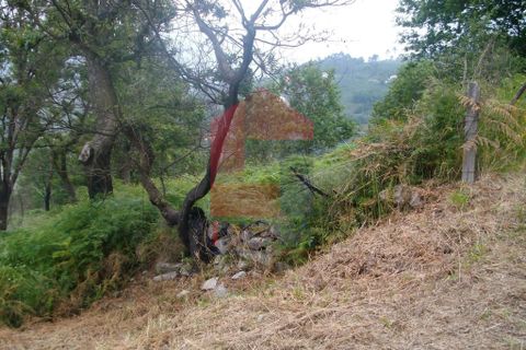 Helårsgrund i Vila Verde, Braga, Vila Verde - € 15.000 | Ref: 04379 - foto 2
